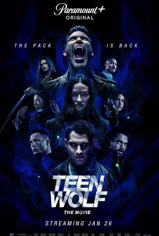 Lemo IPTV movie and series poster image 6
